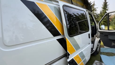 Harrison – 2p Marquis autres de 2019