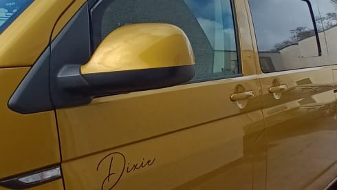 Dixie – Luxury 4 berth Volkswagen T6 Automatic Campervan from 2020