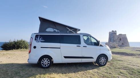 Gino – Van Westfalia Kelsey
