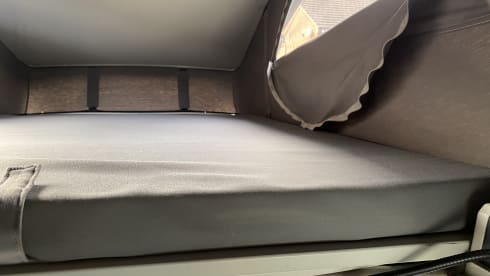 Prue – Volkswagen Kalifornien, 2008