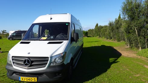 Siobvan – 2p Mercedes-Benz bus from 2014