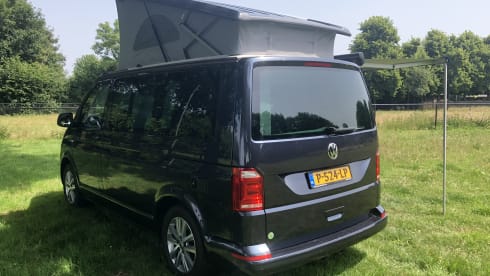 Luxury 4WD VW California (2019)