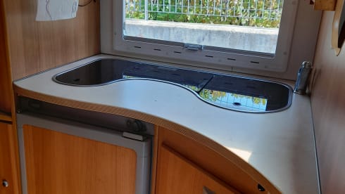 Go free for an alternative vacation