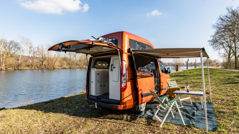 klein maar dapper  – 2 Ford bus nugget from 2019