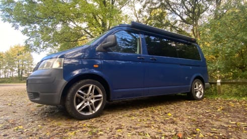 Barnie – T5 VW (2007), Blue Pop-Top (LWB)