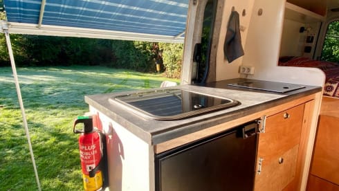 Meddy – 2 persoons ruime Mercedes bus 2009