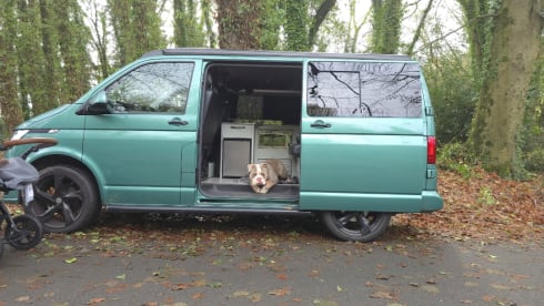 Essy – 4 berth Volkswagen campervan from 2021