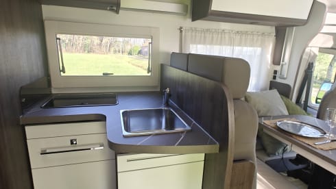 5p Benimar - Cocoon 463 automatique - année de fabrication 2026