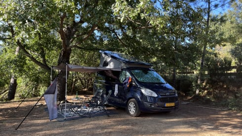 Nuggy  – 4p Ford bus from 2018