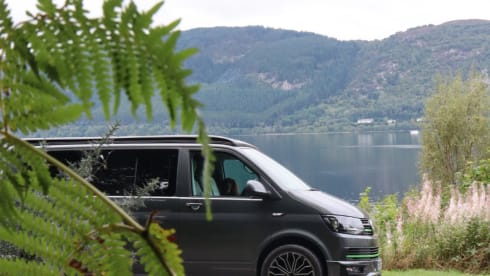 Nelly – 4 berth 2017 VW T6 Camper