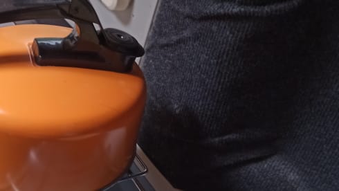 Fonzie – 2p Ford bus uit 2020