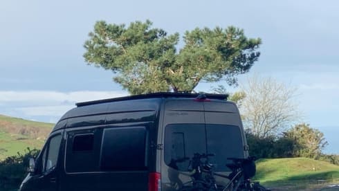 Lizz – 2p Mercedes-Benz bus from 2023