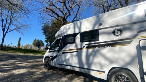 Twinny – Benimar Mileo 268 Half-integraal (10-2024)