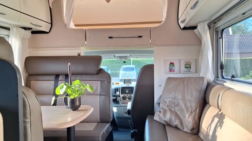 Bear on the road – 7p Bürstner alcove from 2011