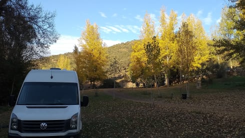 Vrijheid – 2p VW Crafter bus from 2014, complete, spacious and cozy