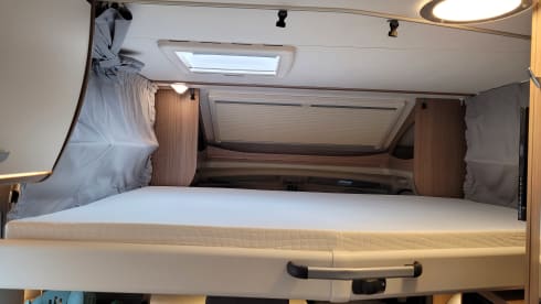 Lotti – Komfortabel auf Reisen mit Lotti