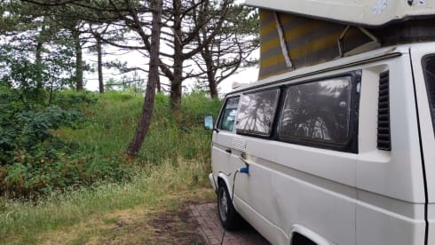 Olle – Tough T3 with powerful diesel engine