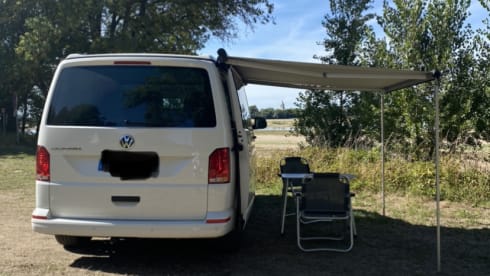 Volkswagen California T6.1 Coast DSG7