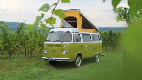 Sanseveria – Volkswagen T2b Westfalia Berlin '77