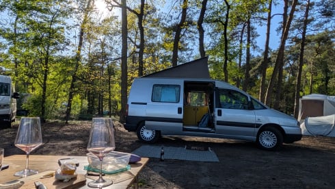 Knusse bus Billie – 2p Fiat other from 2004