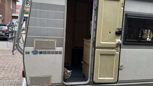 Fiat Ducato Hymer – 1-6p Fiat alcove from 1994