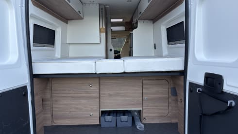 2p Pilote bus from 2020