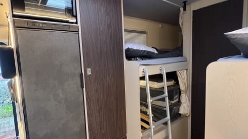 MotorSuite - MySuites – MotorSuite, 6 Berth - Fiat Seal 50