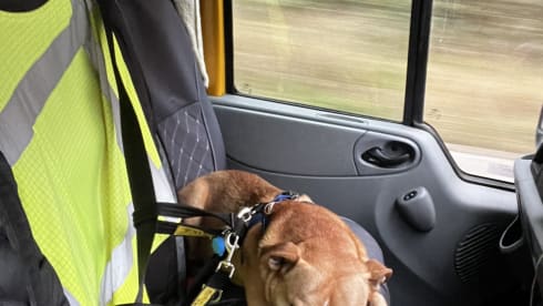 Daisy🌼  – The 2 berth beauty