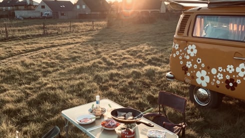 DEVON – rent an original hippie bus from 1976!