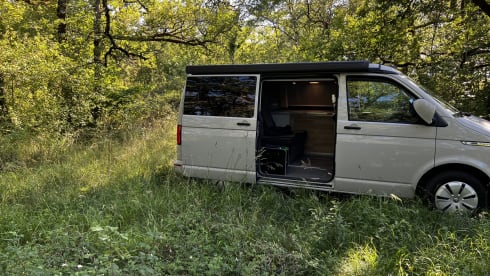 Jimo – Van Vw california new for 4