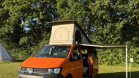 Van Tropez – New Conversion! Automatic VW Transporter w/5 seats