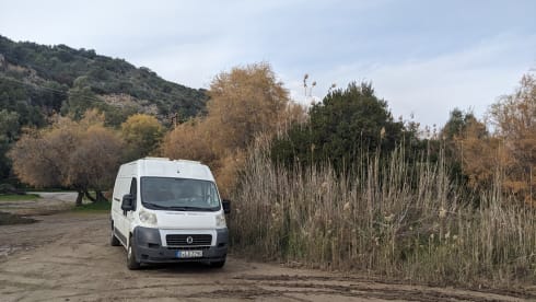 Balu – Vanlife Essentials - probier's mal mit Gemütlichkeit
