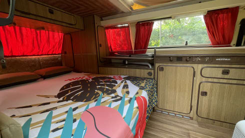 NINA – Volkswagen t3