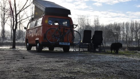 Wickie – VW hippie van Wickie - back to the 70s!