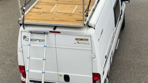 Dreamer D55 – Vermietung Träumer D55