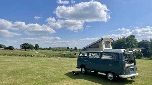 Bernard – Beautiful Campers 1972 VW Early Bay For Hire From Yorkshire
