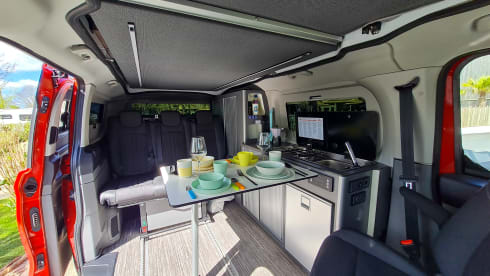Harry Trotter – 4p Other campervan from 2024