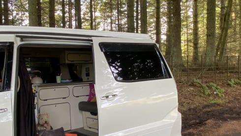 Harris  – 4 berth Toyota campervan 