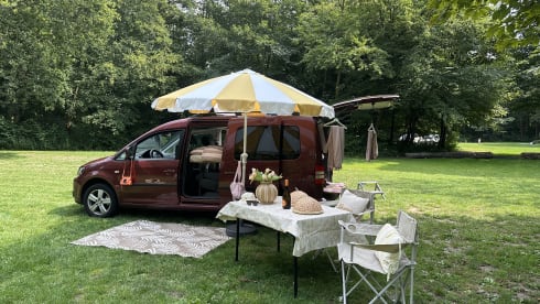 Super nice Volkswagen Caddy Maxi campervan from 2011 with tent, 4p