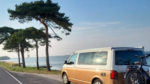 VW California Ocean T6.1 2022