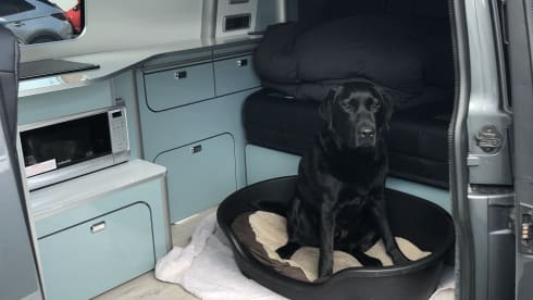 Coop – 4 berth T6 2019 Volkswagen campervan