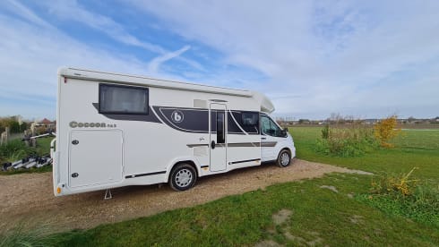 New Benimar Cocoon 463