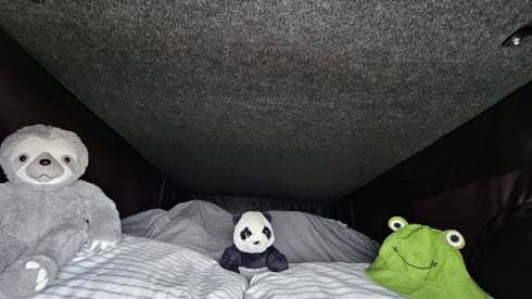 Alberto  – 2-4 berth Ford campervan from 2016
