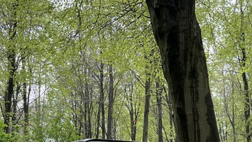 Tour Bus – 4 berth Volkswagen campervan from 2017