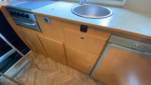 Bluebell – Fun, Versatile and Reliable