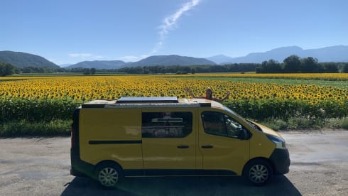KIWI GOLD (6) – Renault Trafic Eco bus camper completely self-sufficient