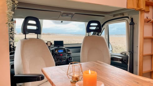 Miss Honey –  The most stylish family camper is looking for warm adventurers!