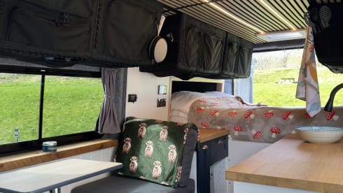 Henry – Citroën-Bus mit 2 Schlafplätzen aus dem Jahr 2017