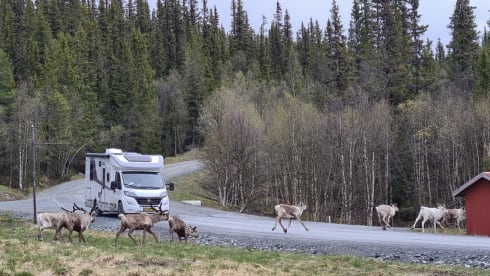 Enjoy comfort and freedom with this new semi-integrated camper