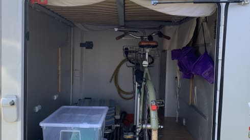 Bennie – Benimar Alcove camper - 5 persons - family camper 